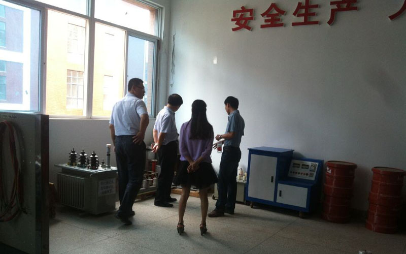 山东泰开电力建设公司领导到访三新电力交流考察